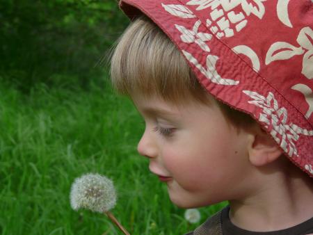 pffff! pfffff! rien ne s'envole !