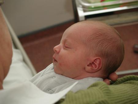 Juste une photo pour vous faire patienter...