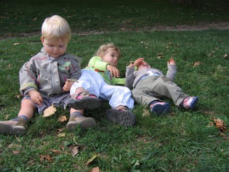 Quel vent !  Je suis le plus r�sistant !