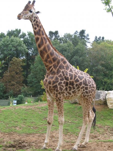 C'est ma nouvelle copine !!