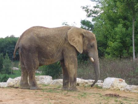 Une autre pour la route...