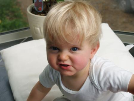 Retour sur le mois d'ao�t...